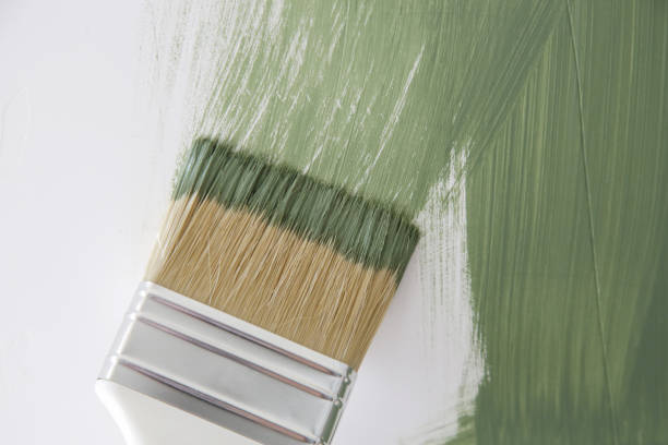 Trusted Madison, GA Mold Removal Experts