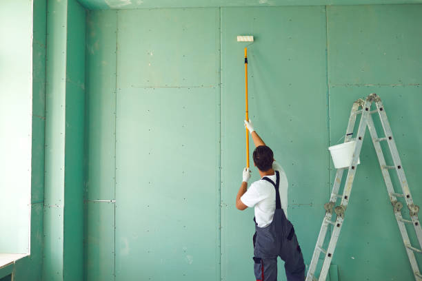 Best Mold Removal for HVAC Installations  in Madison, GA