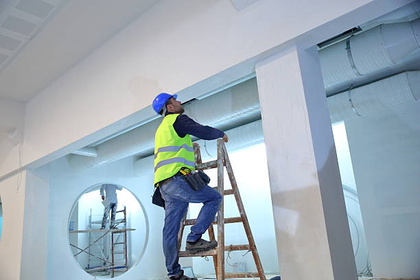 Best Post-Construction Mold Inspection  in Madison, GA