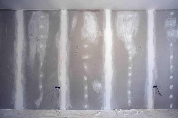 Best Water Damage & Mold Remediation  in Madison, GA